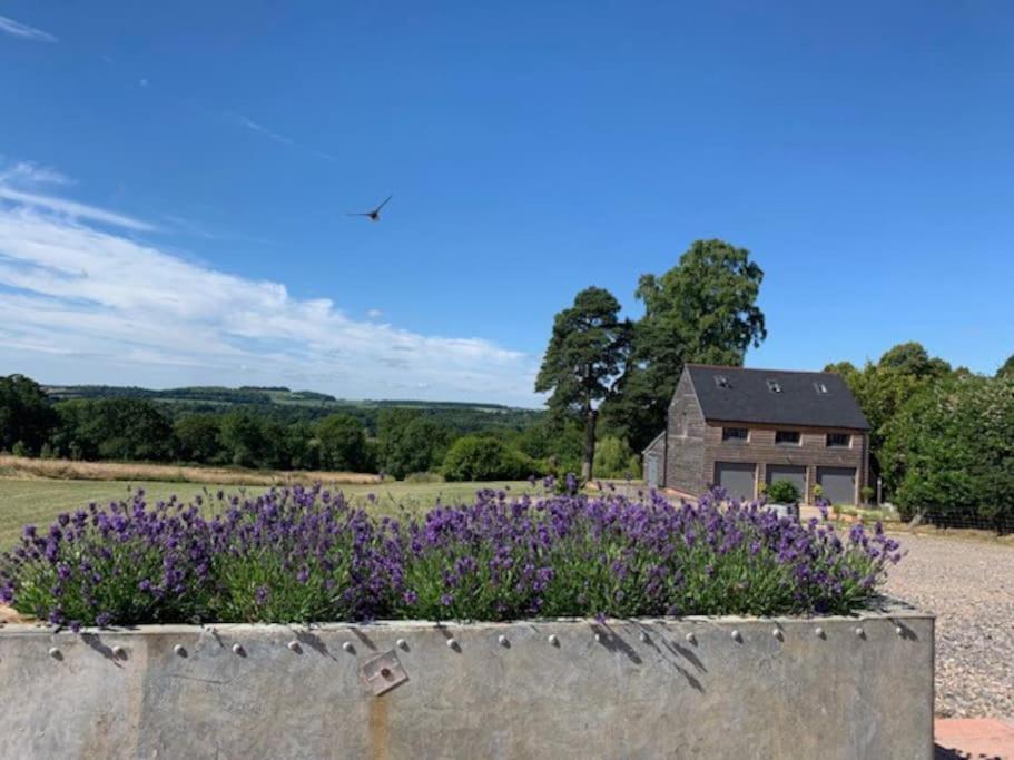Appartamento The Coach House Alderbury Esterno foto