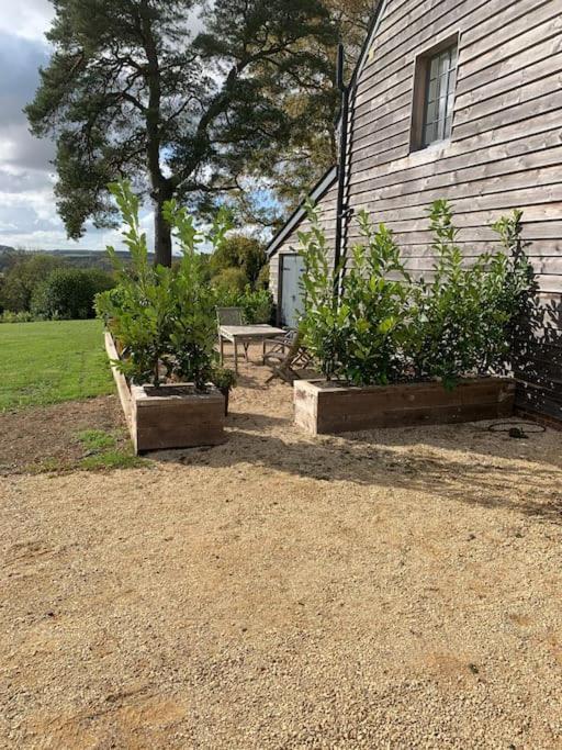 Appartamento The Coach House Alderbury Esterno foto